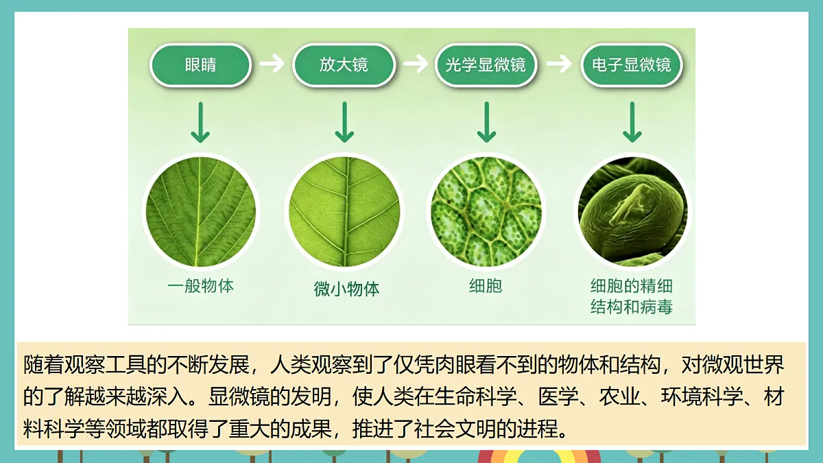第一单元 微小世界 单元小结+科学阅读 - 小学科学五级上册 同步教学课件(教科版2024)第7页