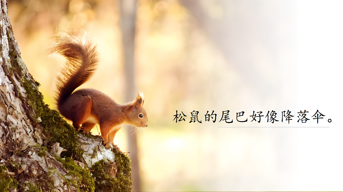 1.銆婂彛璇氦闄吢锋湁瓒g殑鍔ㄧ墿銆嬭浠�第7页