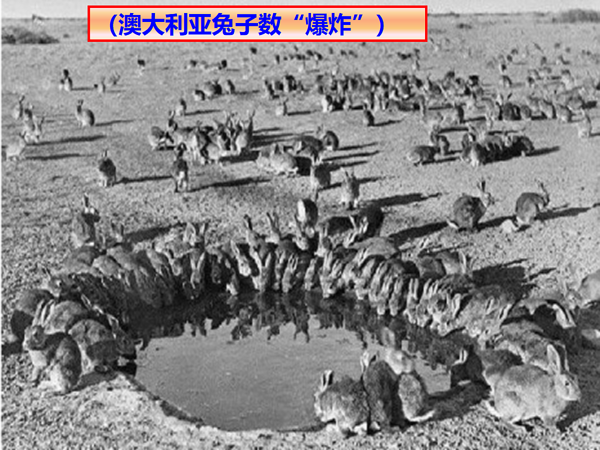 18634772第2页