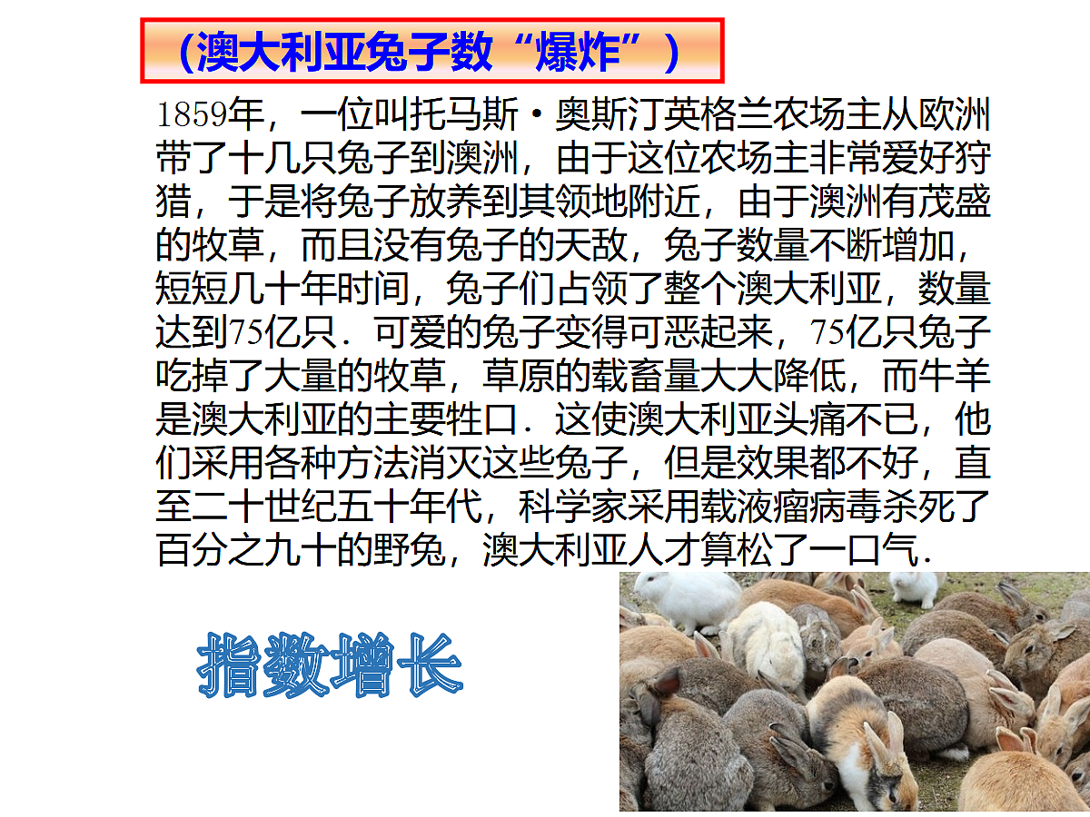 18634772第3页