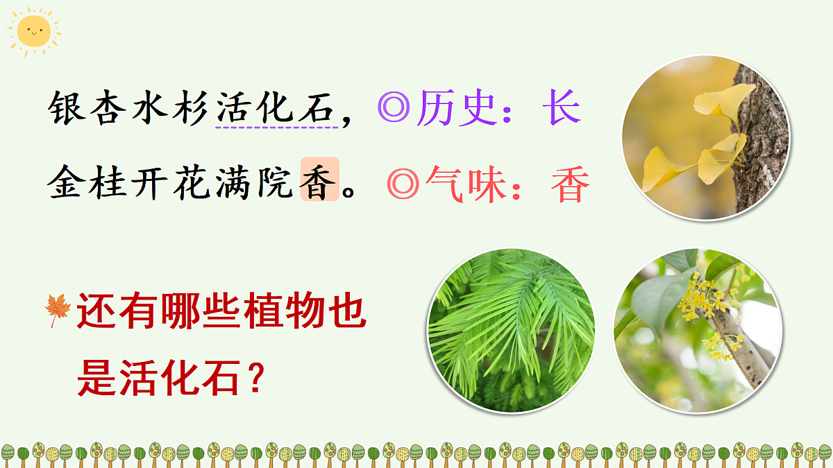 18636992第7页