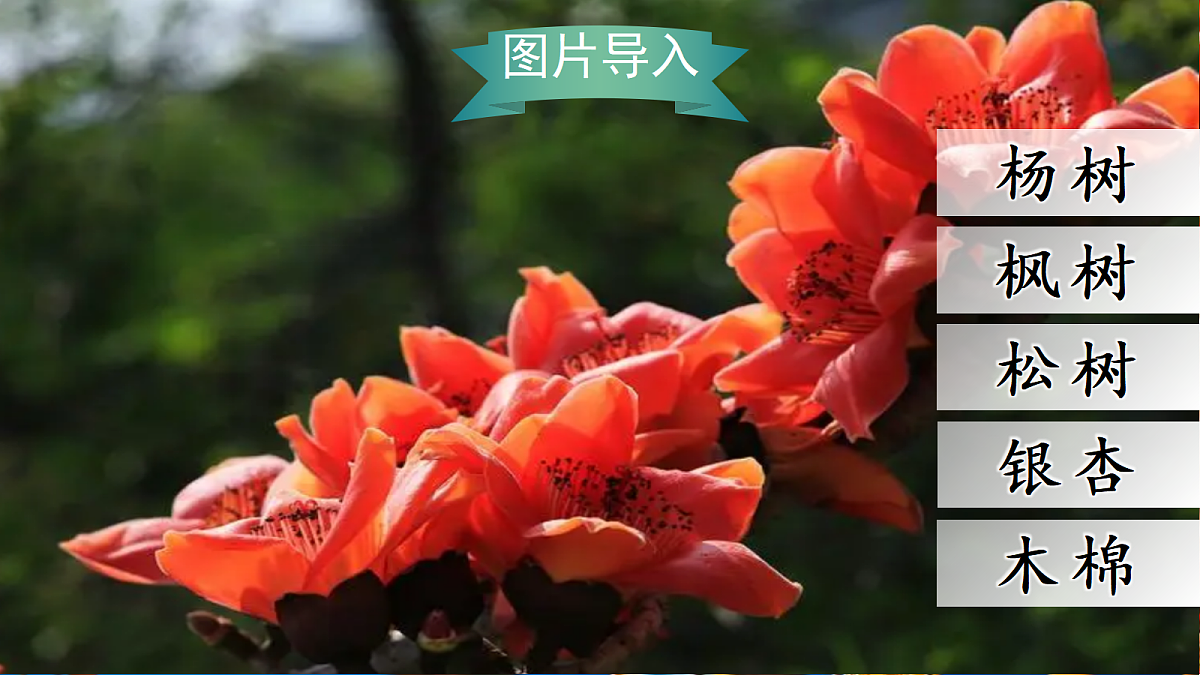 18636997第1页