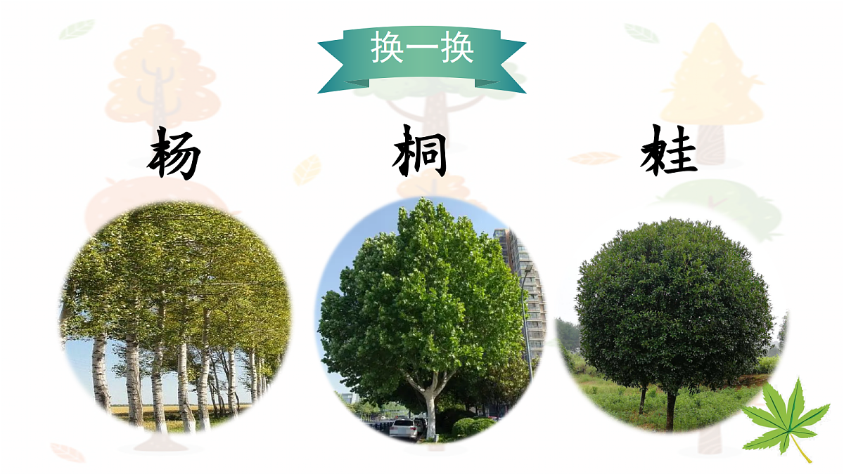 18636997第7页