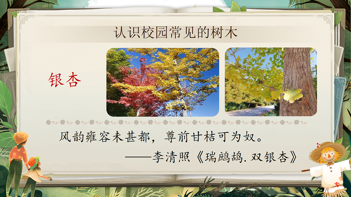 18636998第2页