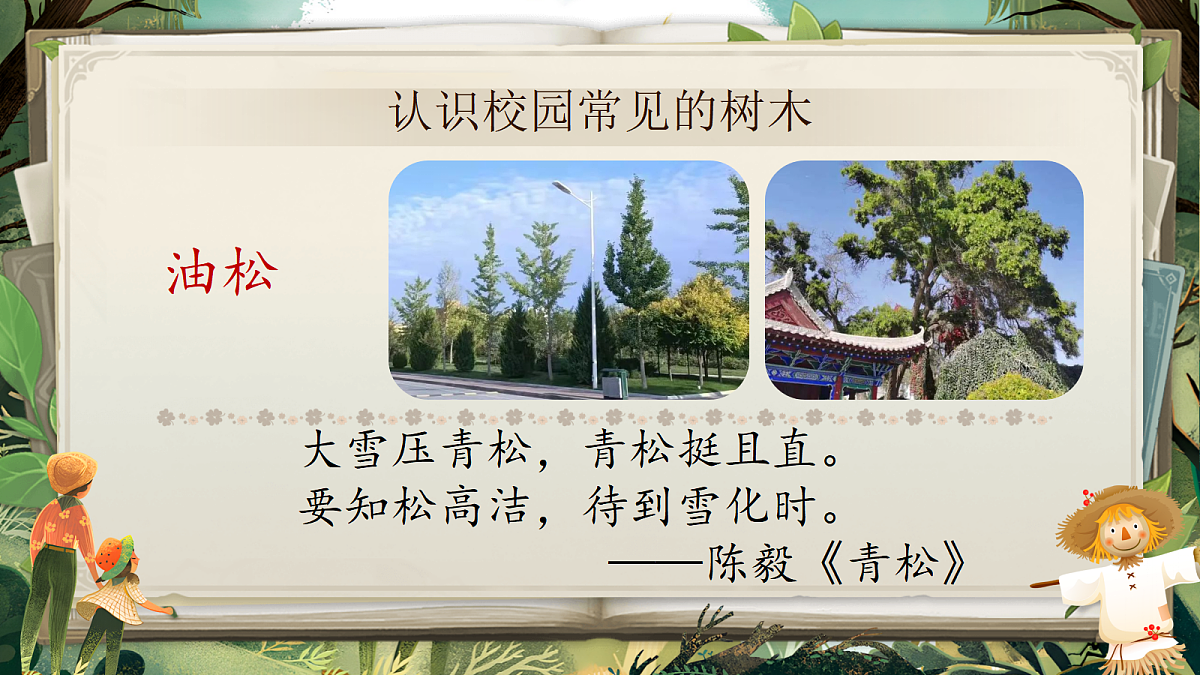 18636998第3页