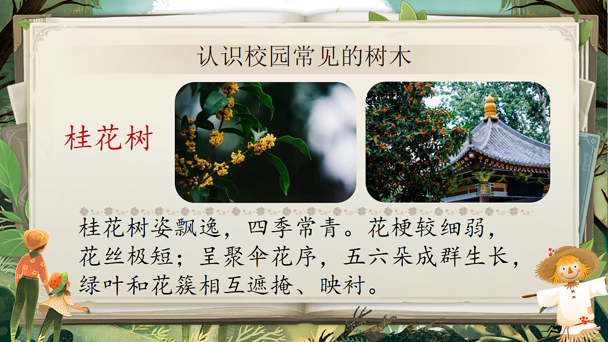 18636998第5页