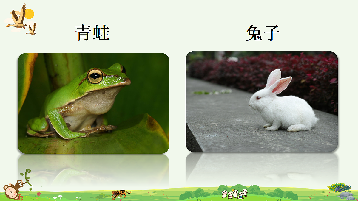 18637003第3页