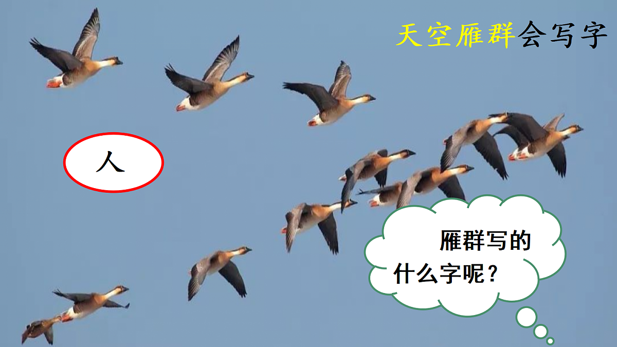 18637004第4页