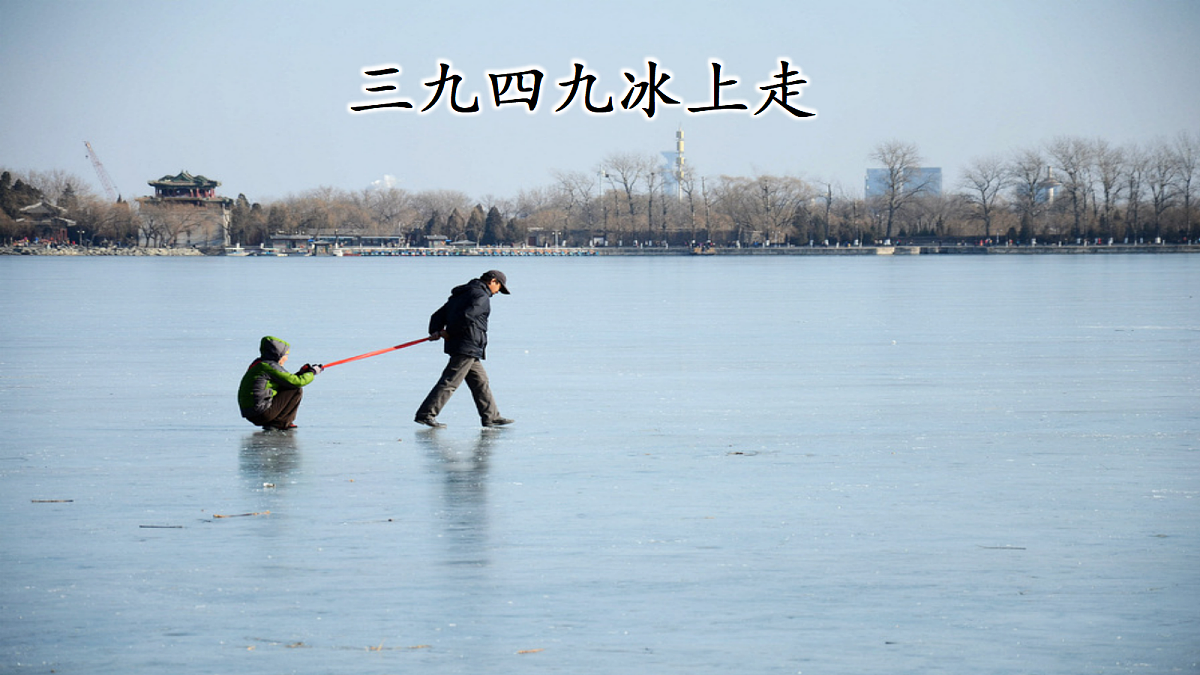 18638406第4页