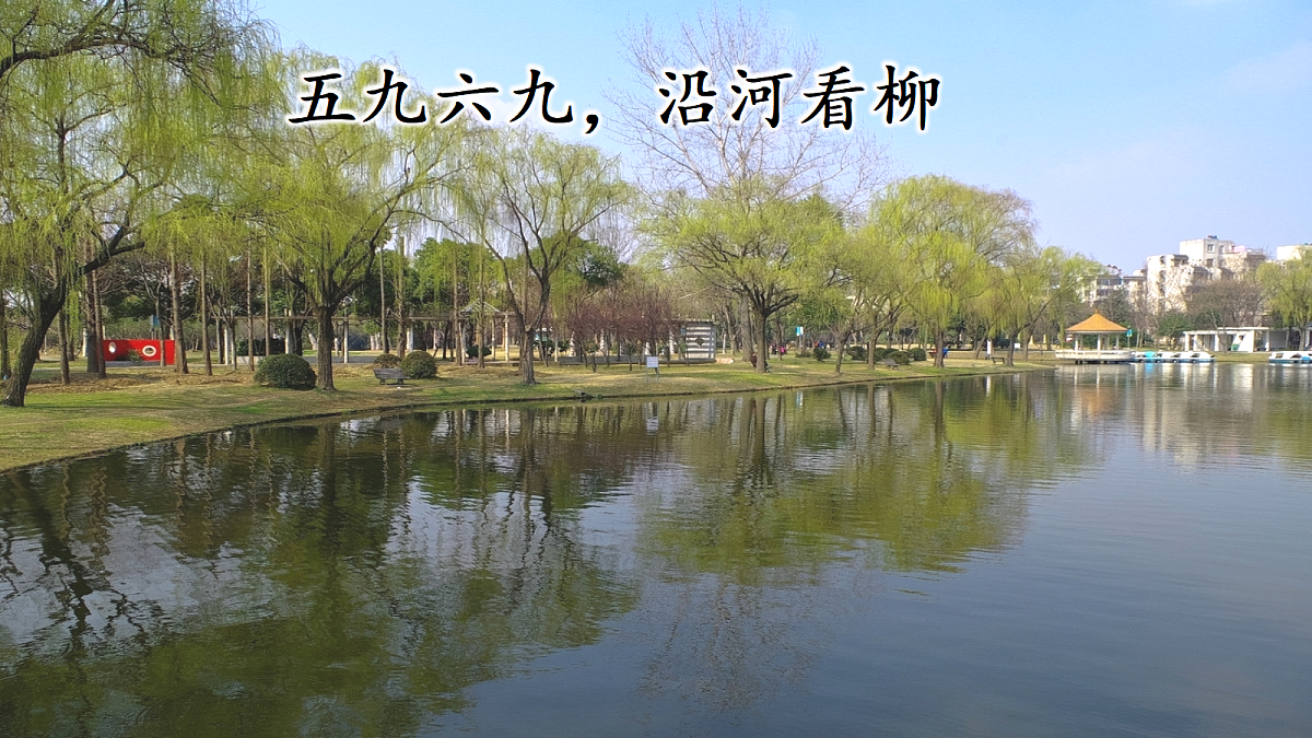 18638406第5页