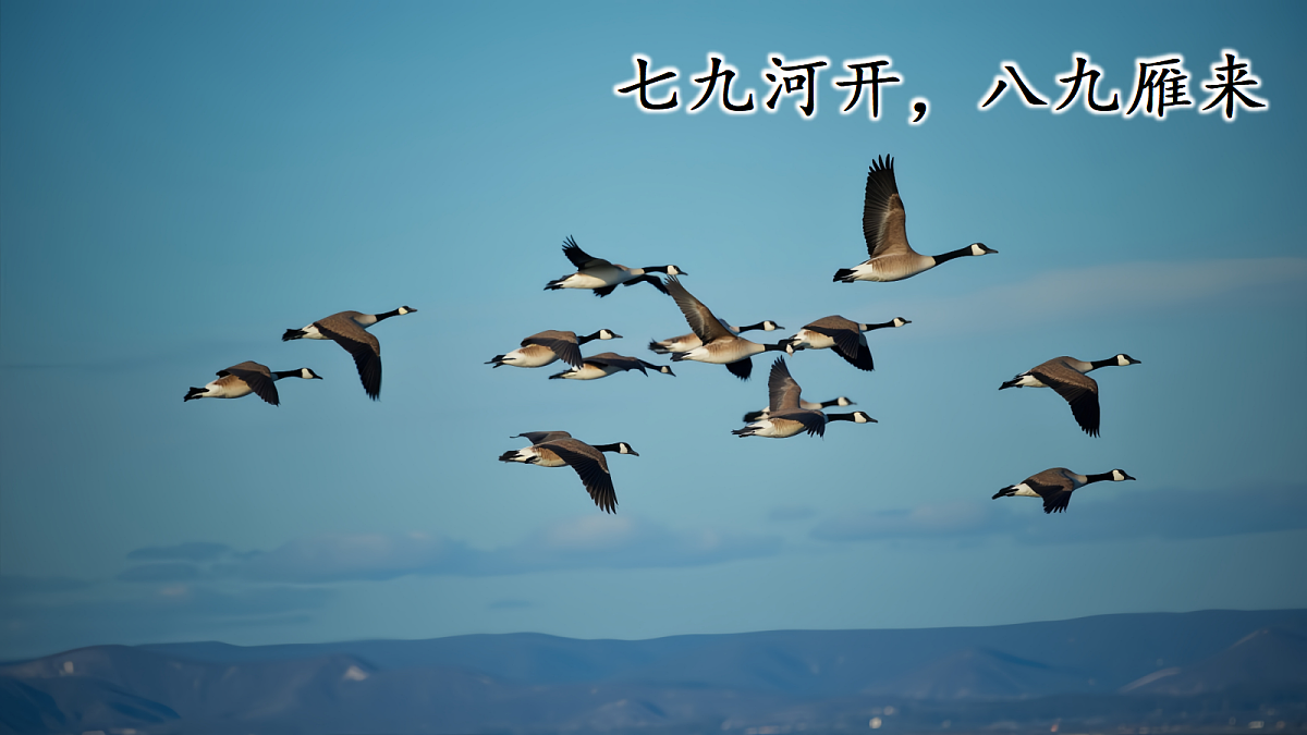18638406第6页