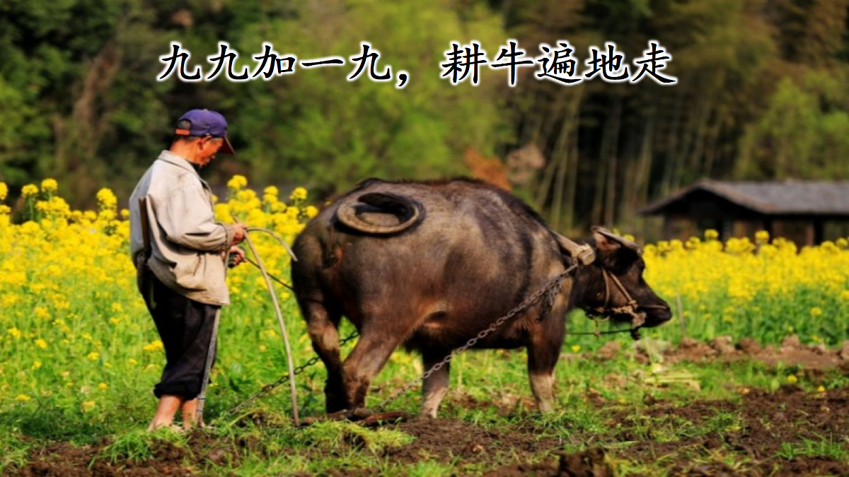 18638406第7页