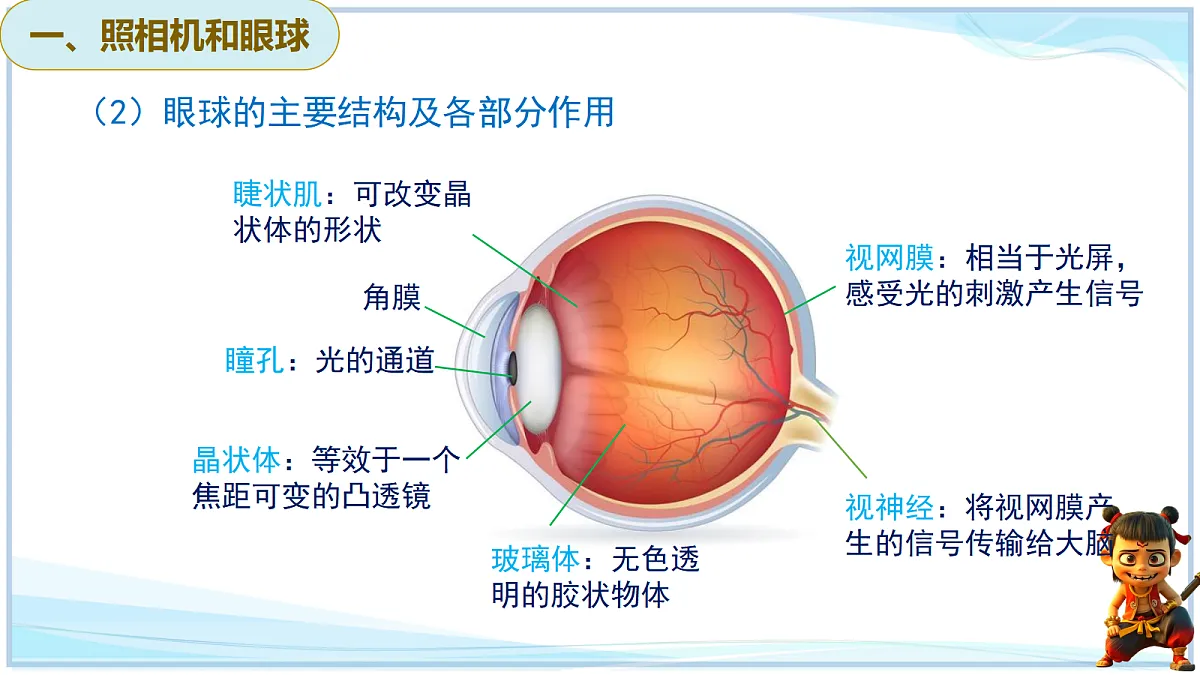 18638783第7页