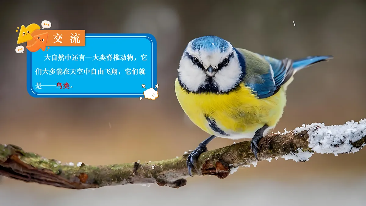 18639200第1页