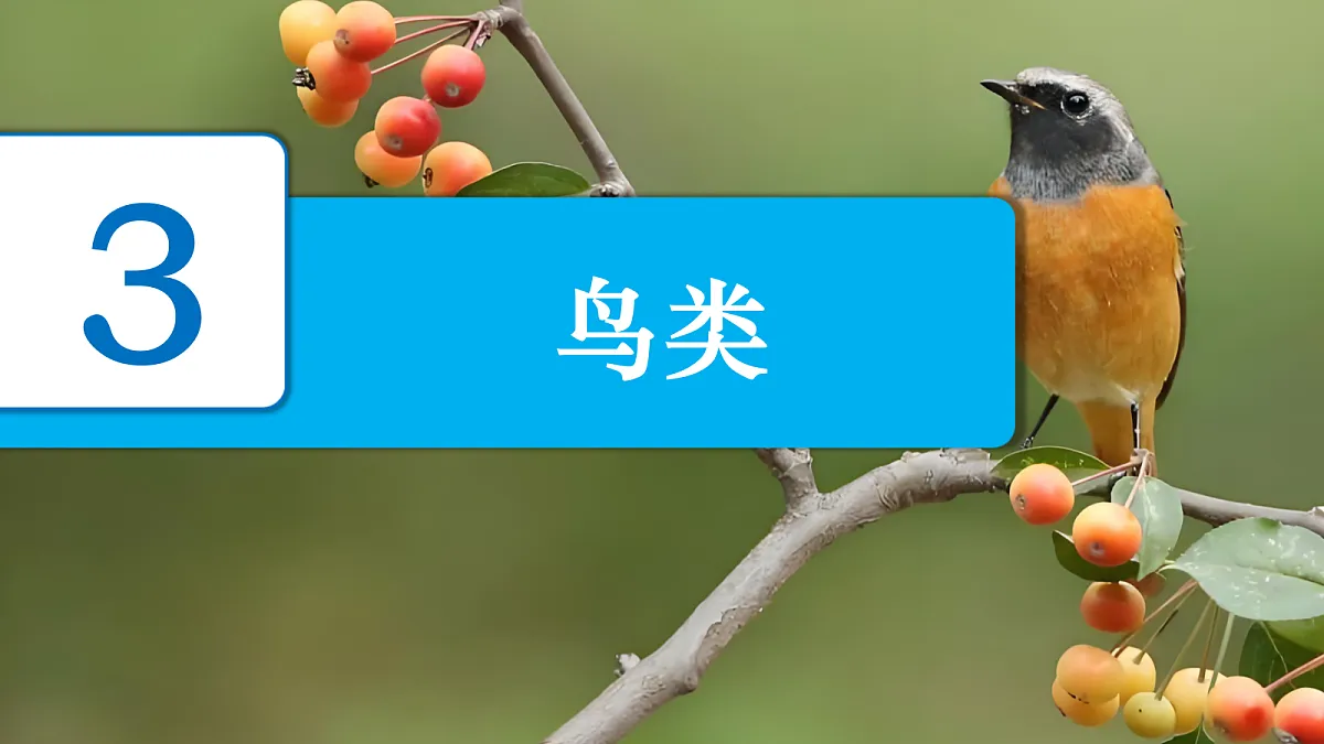 18639200第2页