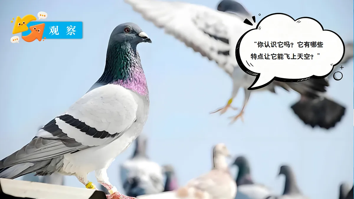 18639200第3页