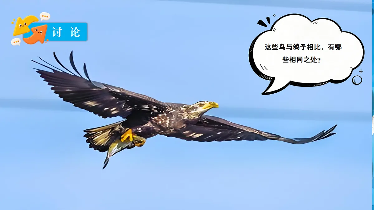 18639200第5页