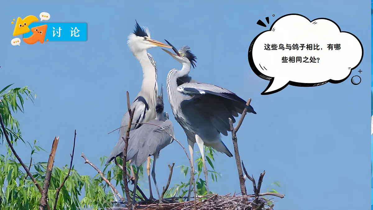 18639200第6页
