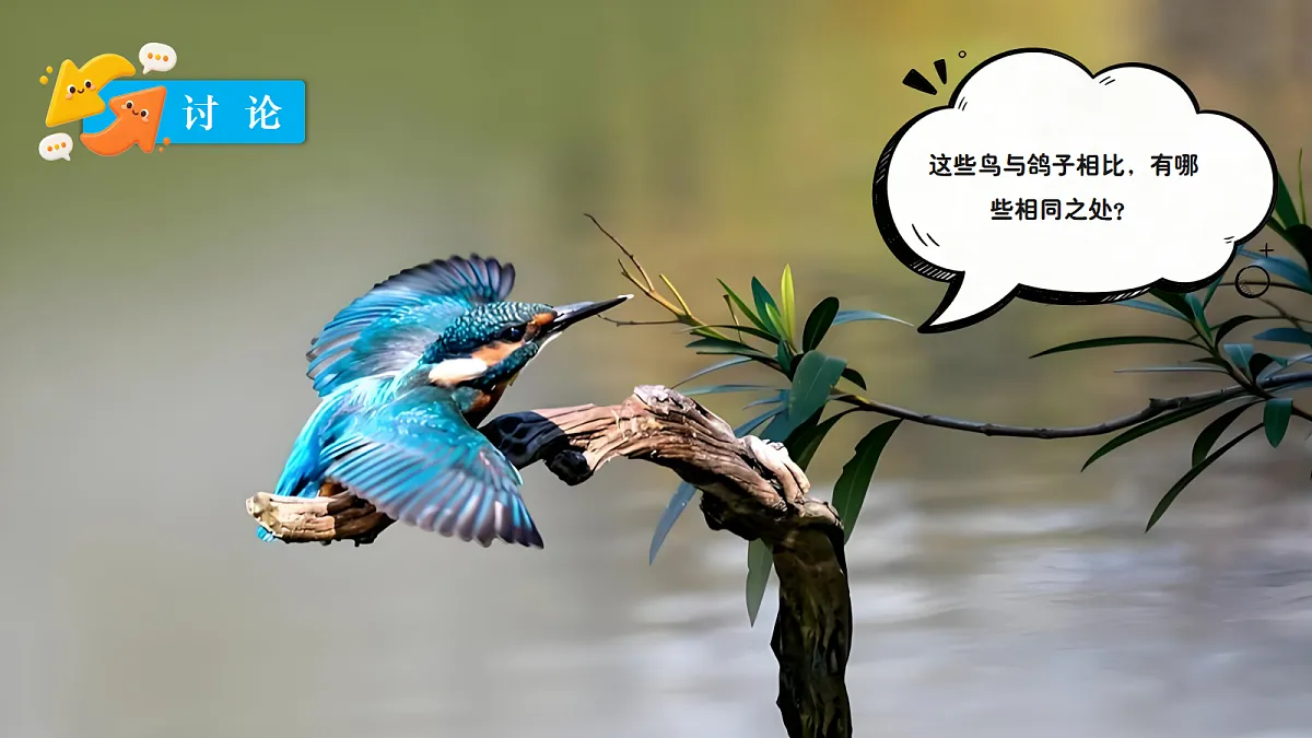 18639200第7页