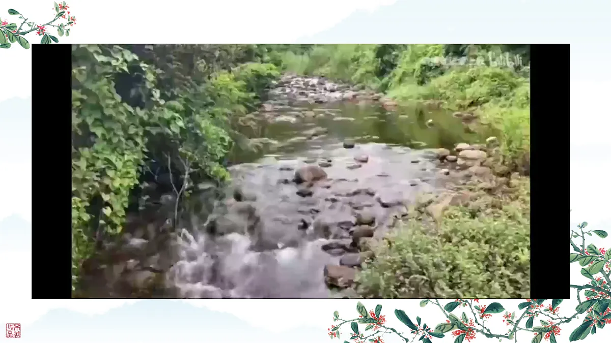18641705第5页