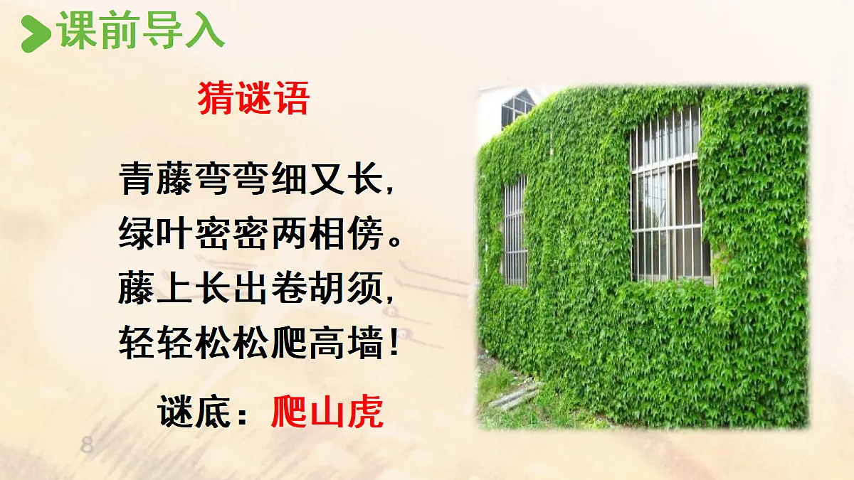 【教学课件】9《爬山虎的脚》第1课时第2页