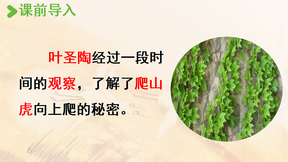 【教学课件】《习作:写观察日记》第1课时第2页