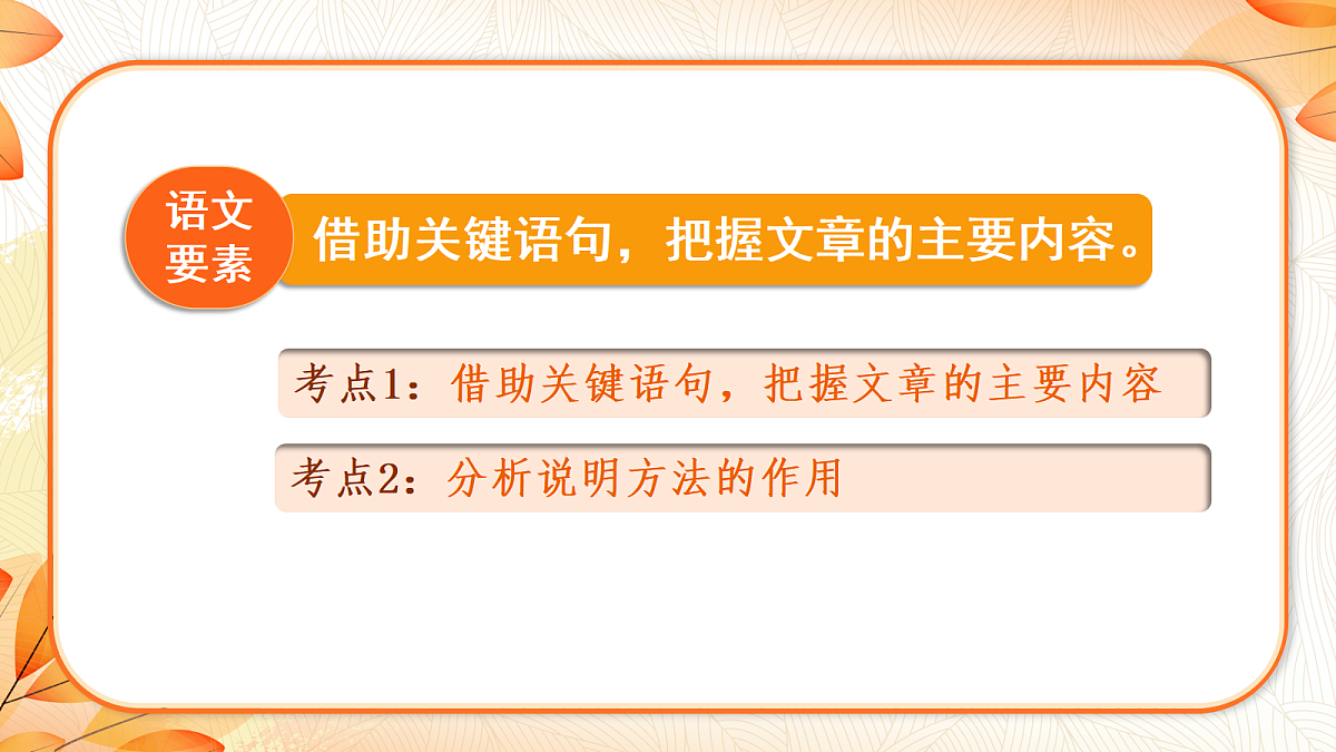 18641779第2页
