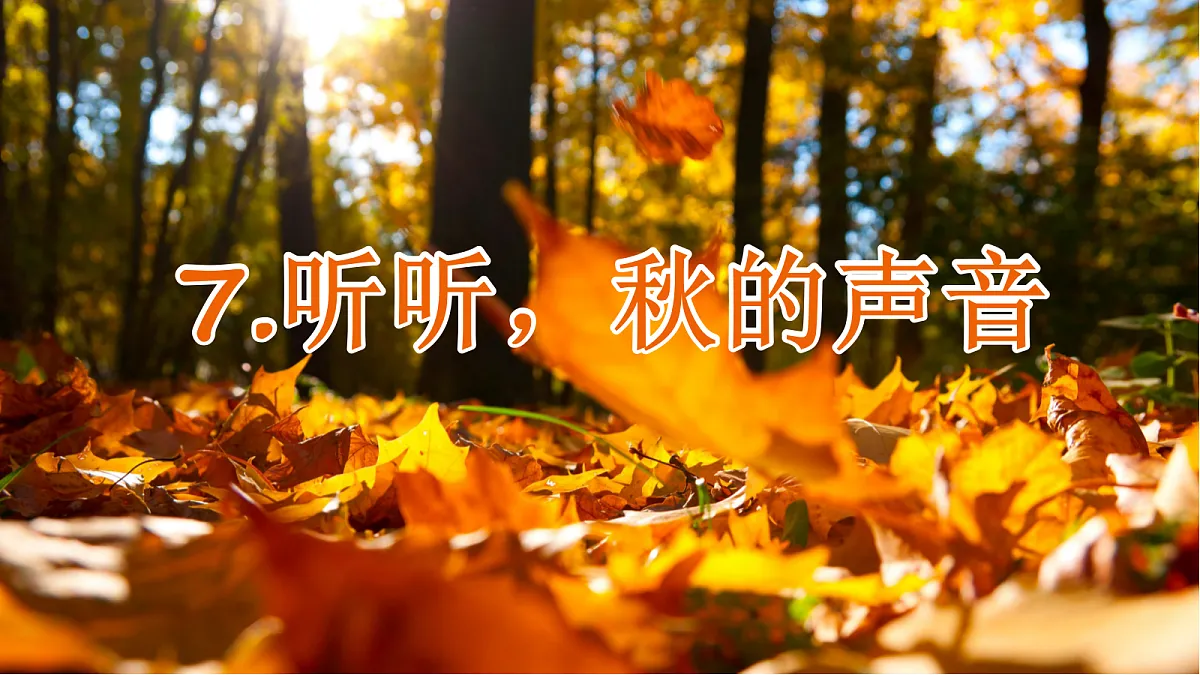 18643376第1页