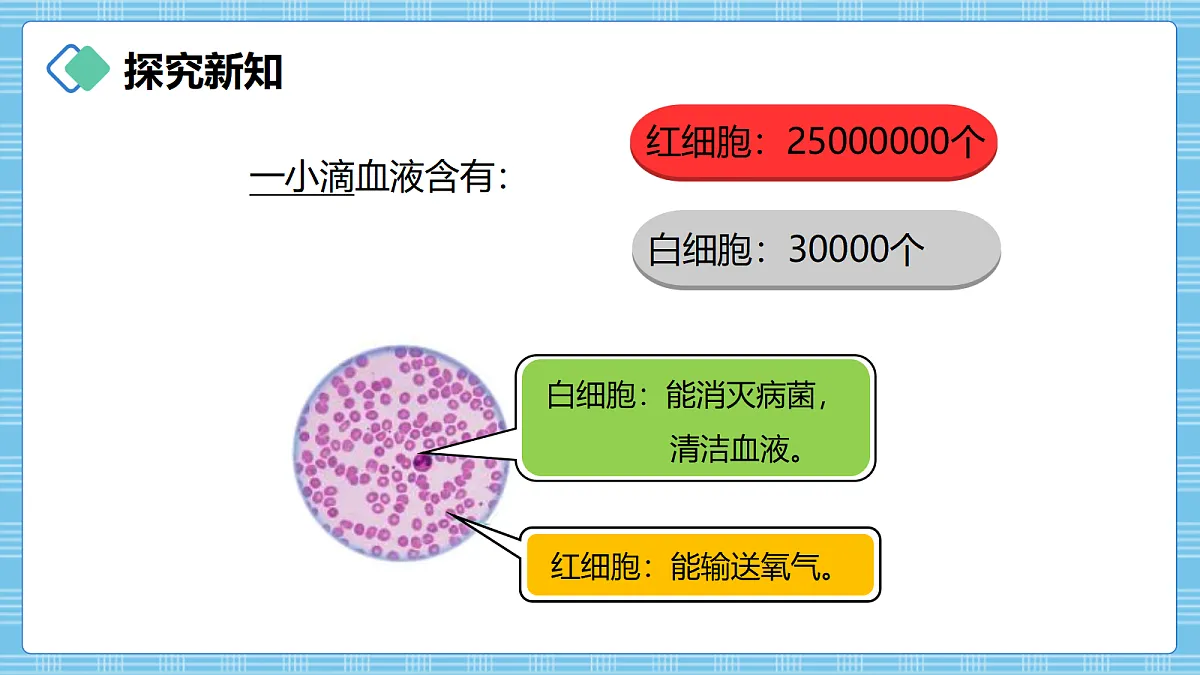 (2026新教材)人教版小学数学四年级上册1.8《数的改写》PPT课件第3页