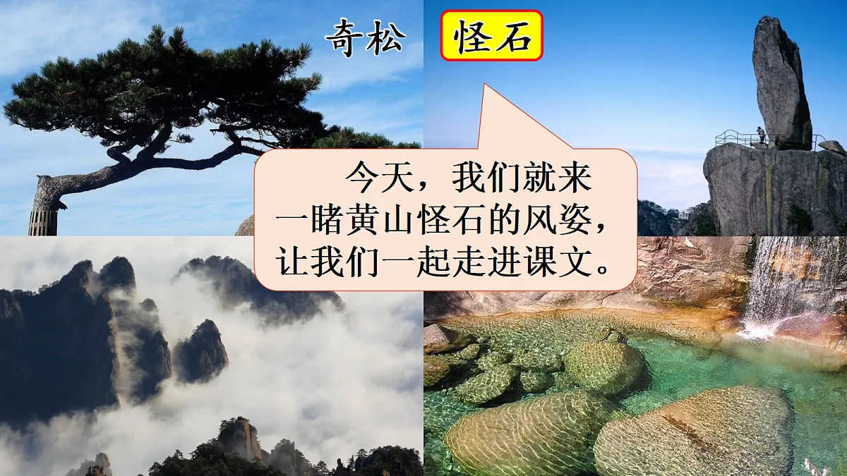 18643902第1页