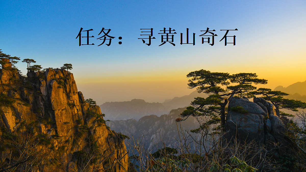 18643904第2页