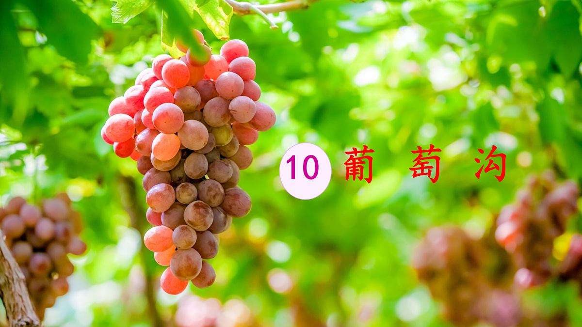 18643919第1页