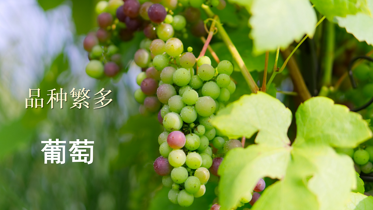 18643919第3页