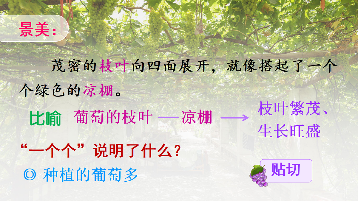 18643919第4页