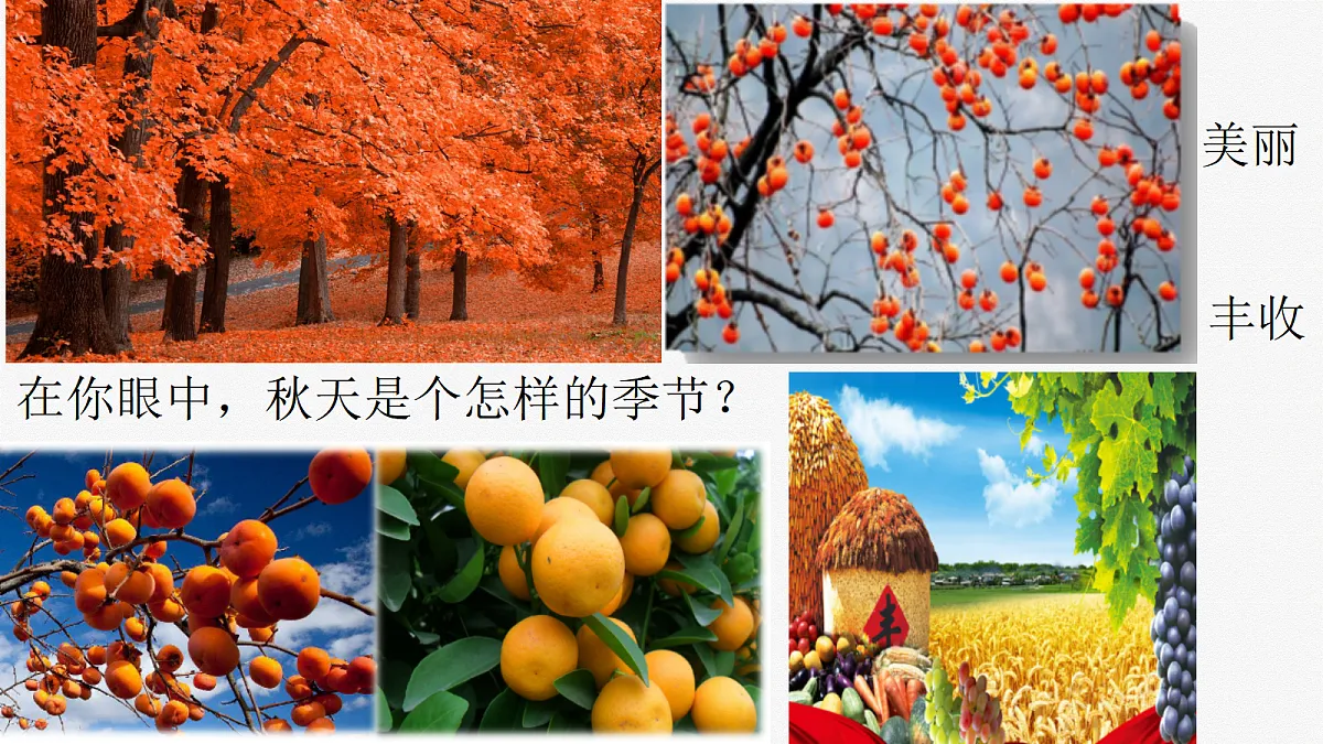 18644678第2页