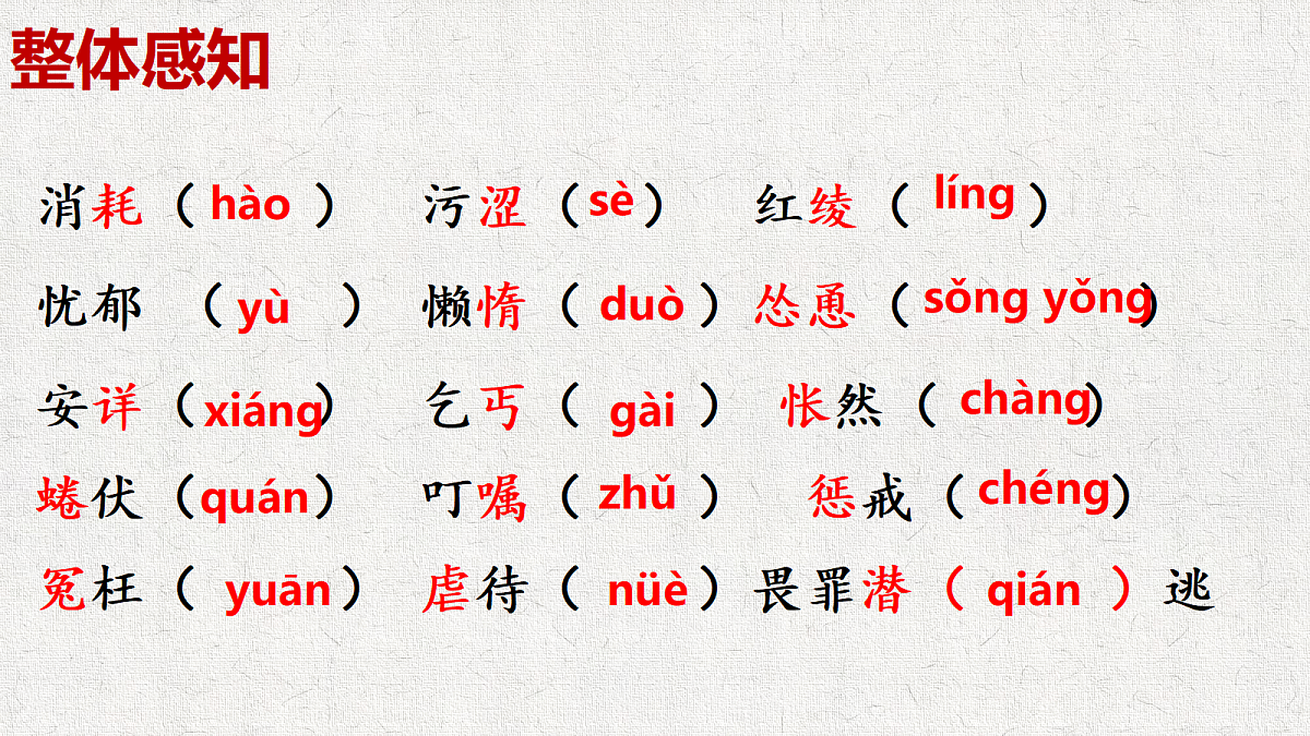 18644771第6页