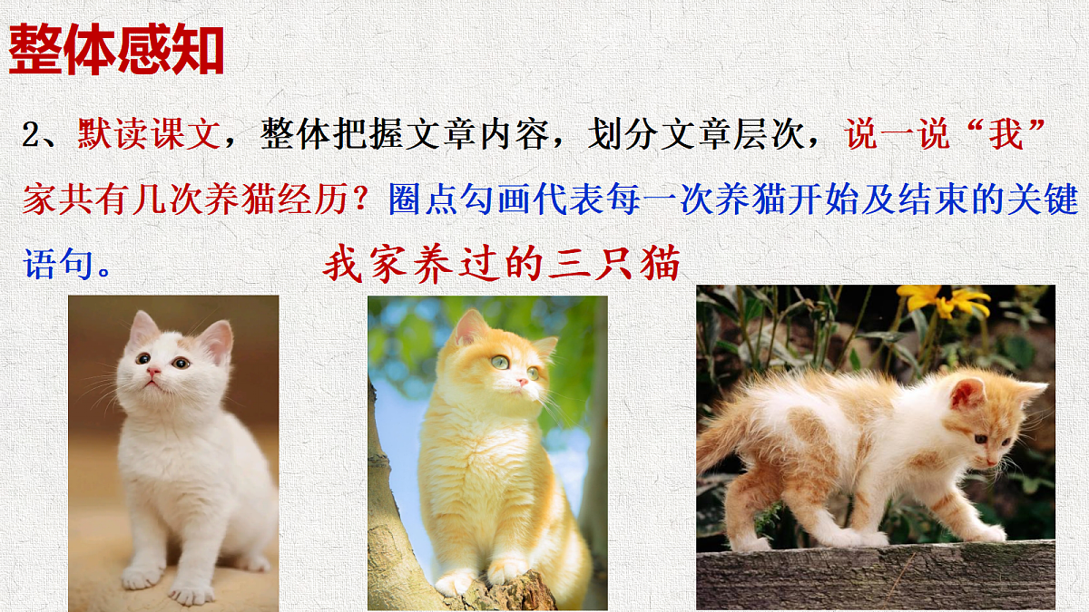 18644771第8页