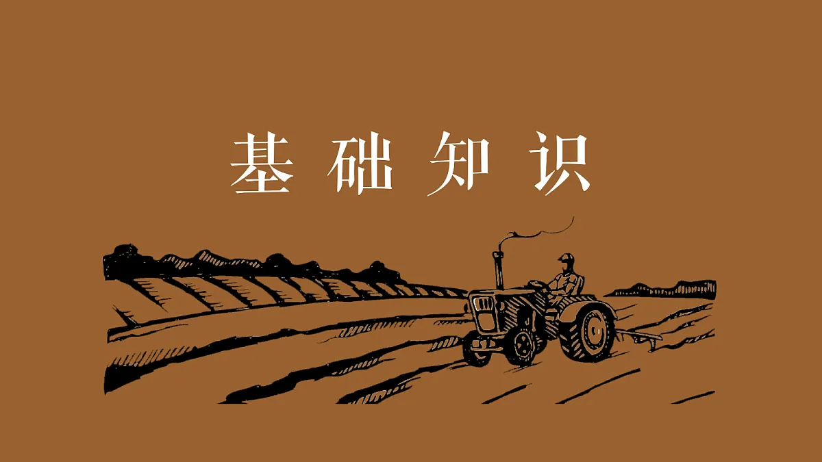 18644800第4页
