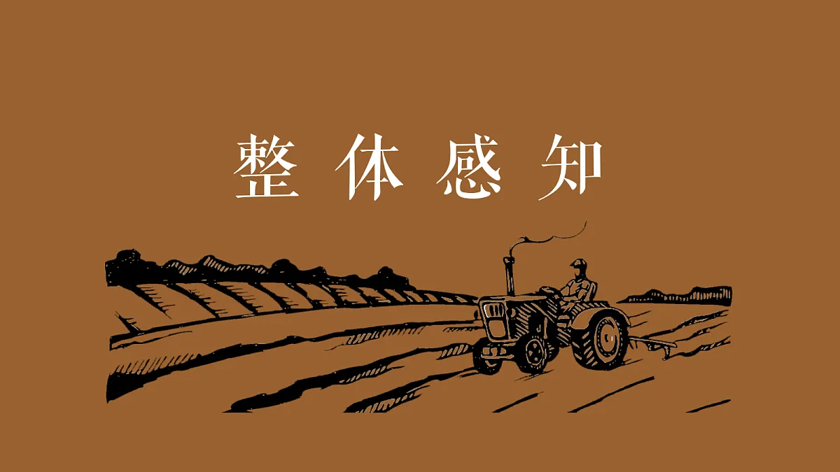 18644800第8页