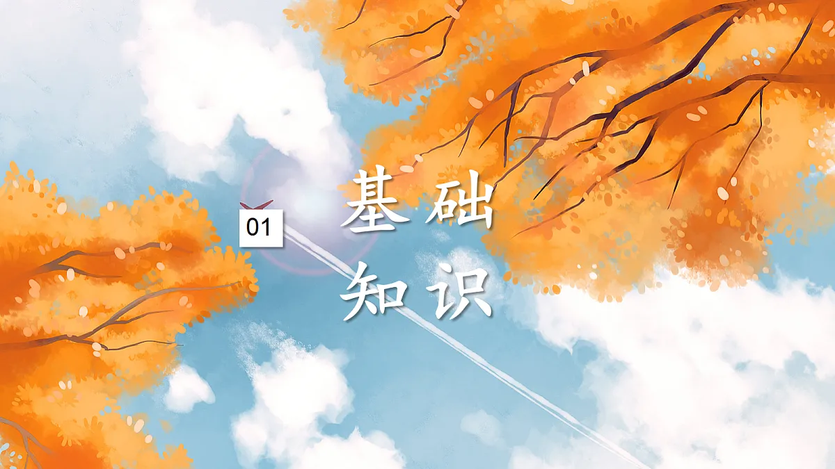 18644802第5页