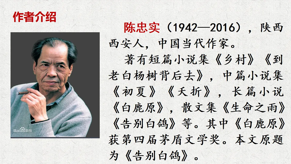 18645440第4页