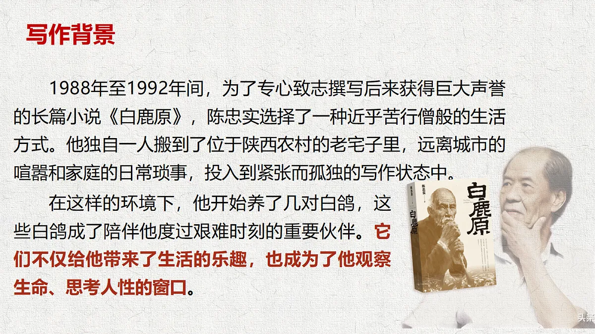 18645440第5页