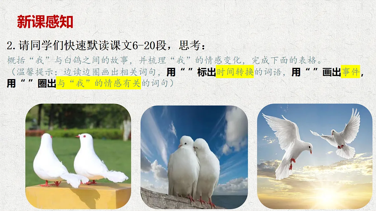 18645440第8页