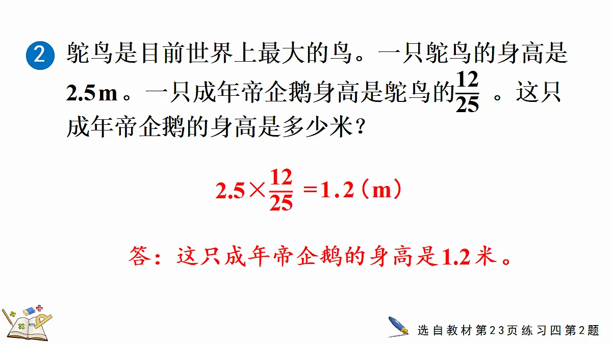 18646575第7页
