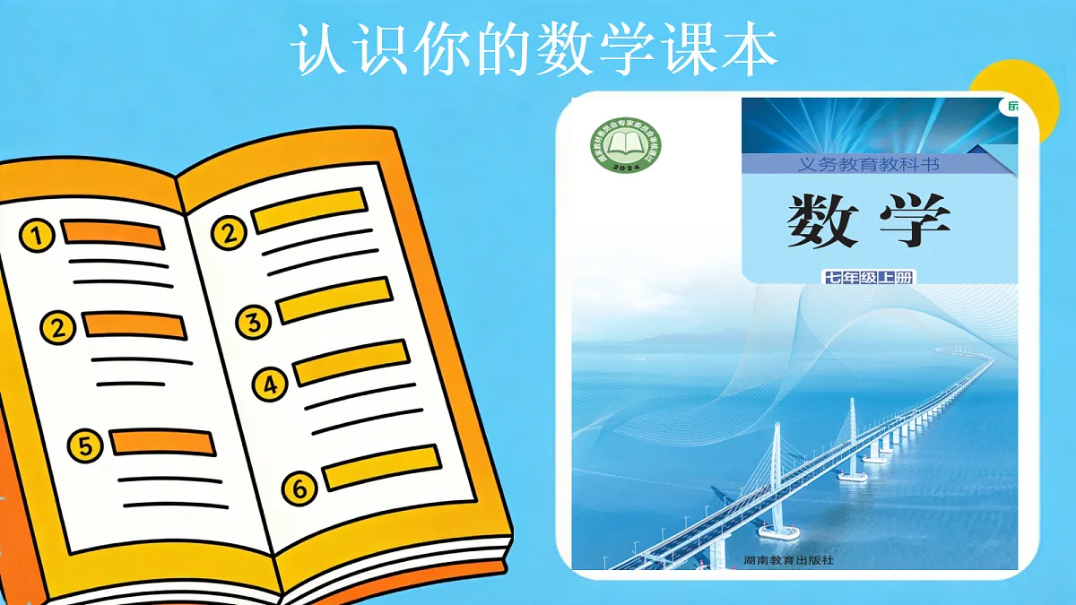 18647855第5页