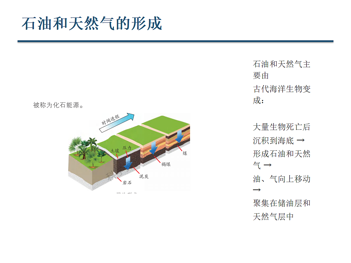 18648530第6页