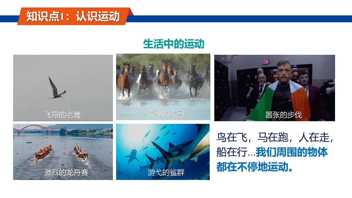 18648878第6页