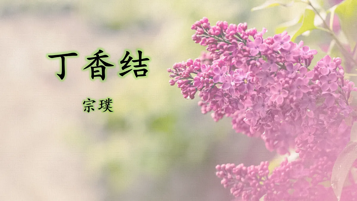 18649008第1页