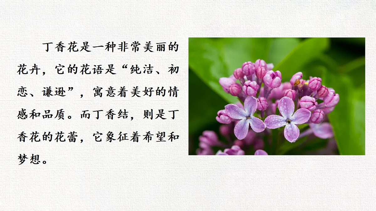 18649008第3页