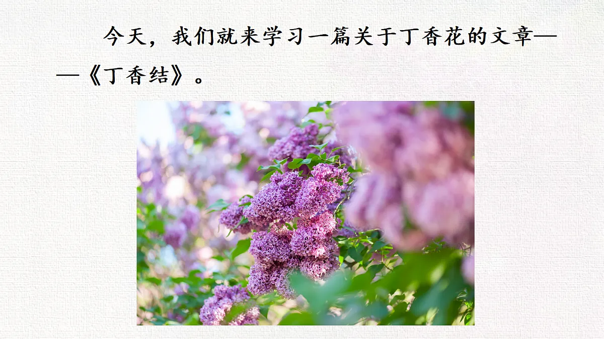 18649008第4页